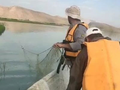 کشف و ضبط ادوات ماهیگیری غیرمجاز در دریاچه سد درودزن