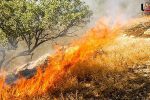 وقوع آتش‌سوزی در کمتر از ۱۰۰ هکتار مناطق محیط زیستی در فارس