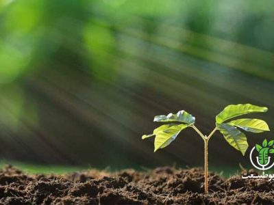 خاک، گنجینه‌ای در خطر: نگاهی به آلودگی خاک و تبعات آن