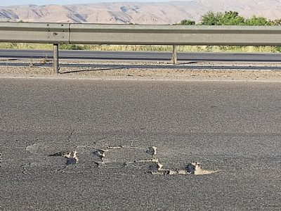 خطر پراکنی درمحور شیراز-سروستان زنگ خطری برای مسئولان