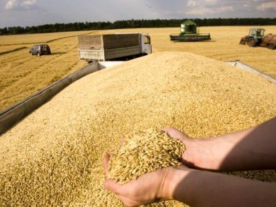 بازدید از مراکز خرید گندم در قیروکارزین