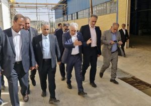 مدیرعامل بانک صنعت و معدن در شیراز؛ افتتاح واحد تولیدی کشت و صنعت عصاره محک و بازدید از چند طرح صنعتی