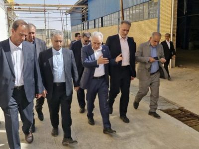 مدیرعامل بانک صنعت و معدن در شیراز؛ افتتاح واحد تولیدی کشت و صنعت عصاره محک و بازدید از چند طرح صنعتی