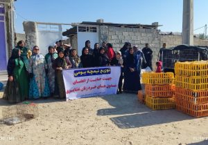 تولید بیش از ۵۴۲ تن گوشت قرمز در قالب طرح زنجیره گوشت عشایری در فارس