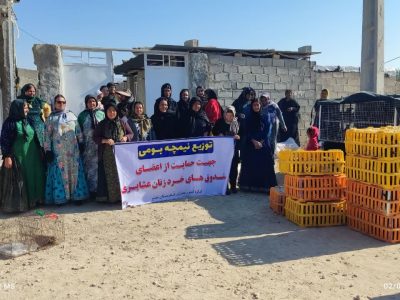 تولید بیش از ۵۴۲ تن گوشت قرمز در قالب طرح زنجیره گوشت عشایری در فارس