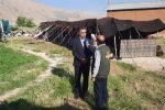 تقویم زمانبندی کوچ بهاره عشایر استان فارس اعلام گردید