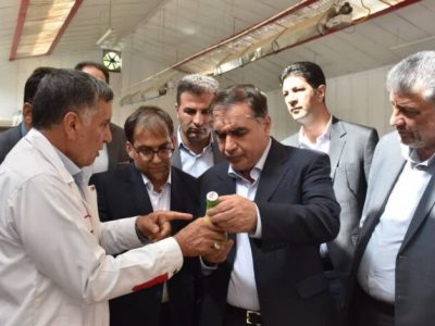 صنایع تبدیلی، کلید امنیت غذایی پایدار و عبور از خام‌فروشی